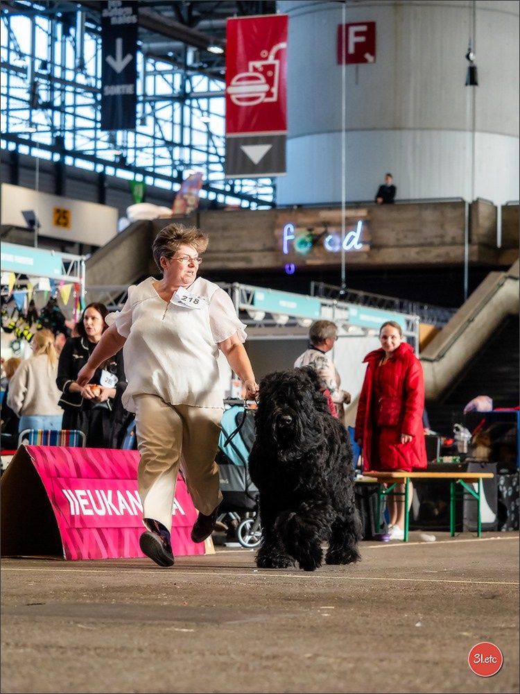 🇨🇭 Geneva Dog Show 15-17/11/2024. Photographe à Strasbourg | Portraits, Studio, Enfants, Événements