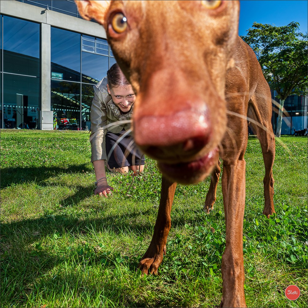 Photographie animalière. Photographe à Strasbourg | Portraits, Studio, Enfants, Événements