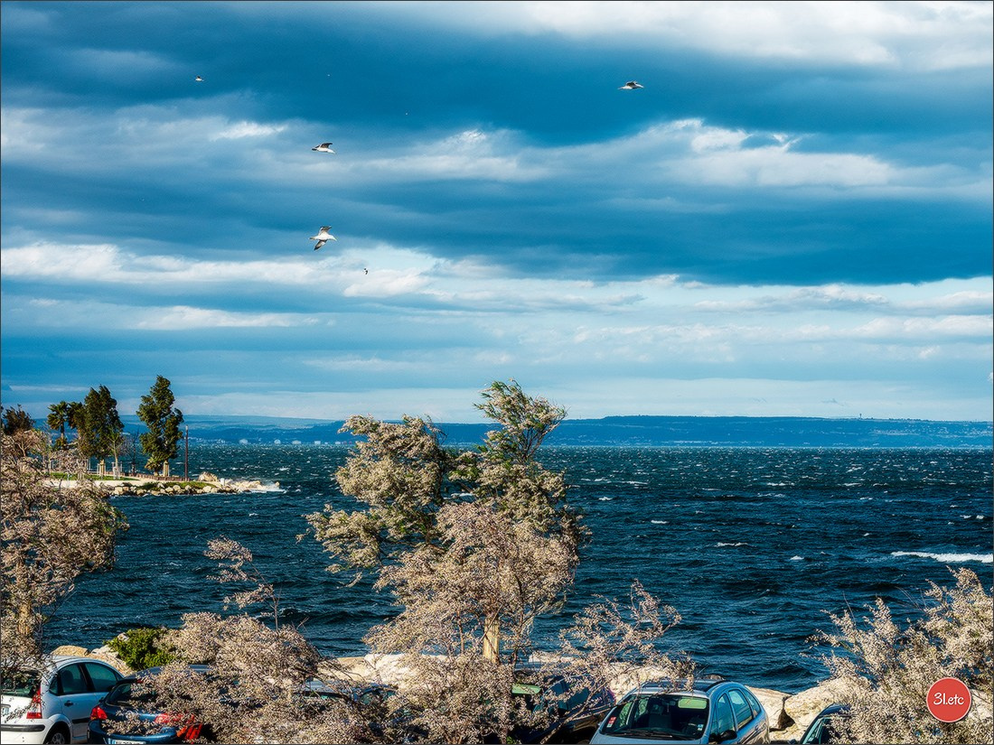 Martigues 19-20/04/2025. Photographe à Strasbourg | Portraits, Studio, Enfants, Événements