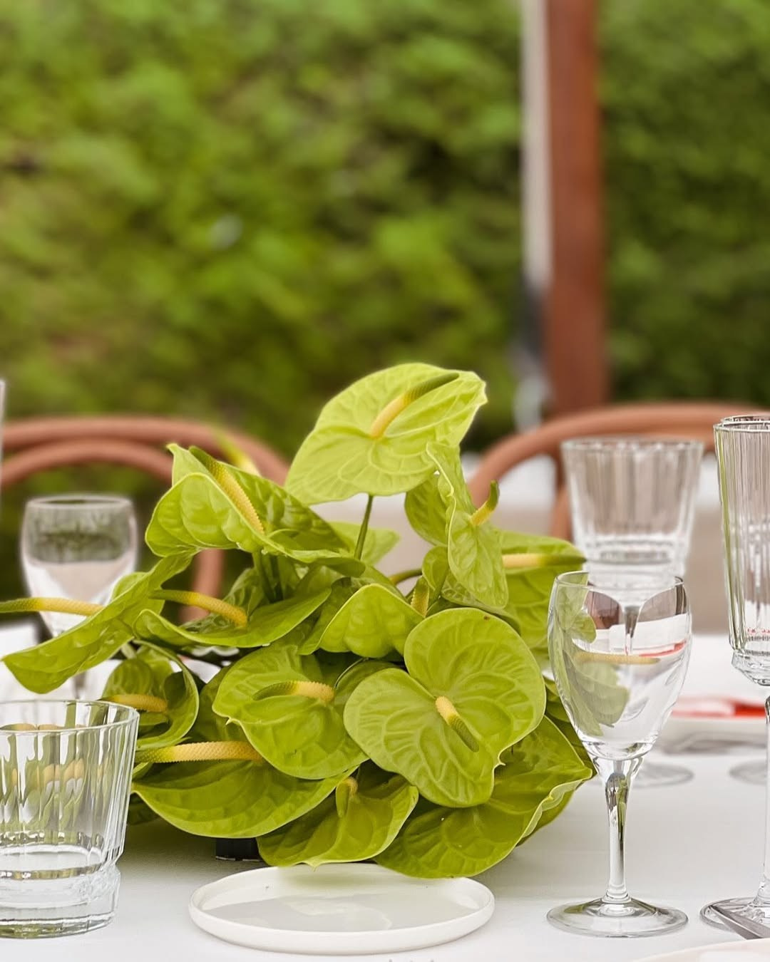 Flower installations in Santa Clotilde, Girona