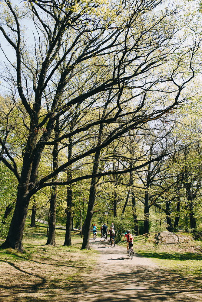 Gandrs rīkotajs velokruīzu uz Stokholmu ar Tallink Romantika kuģi