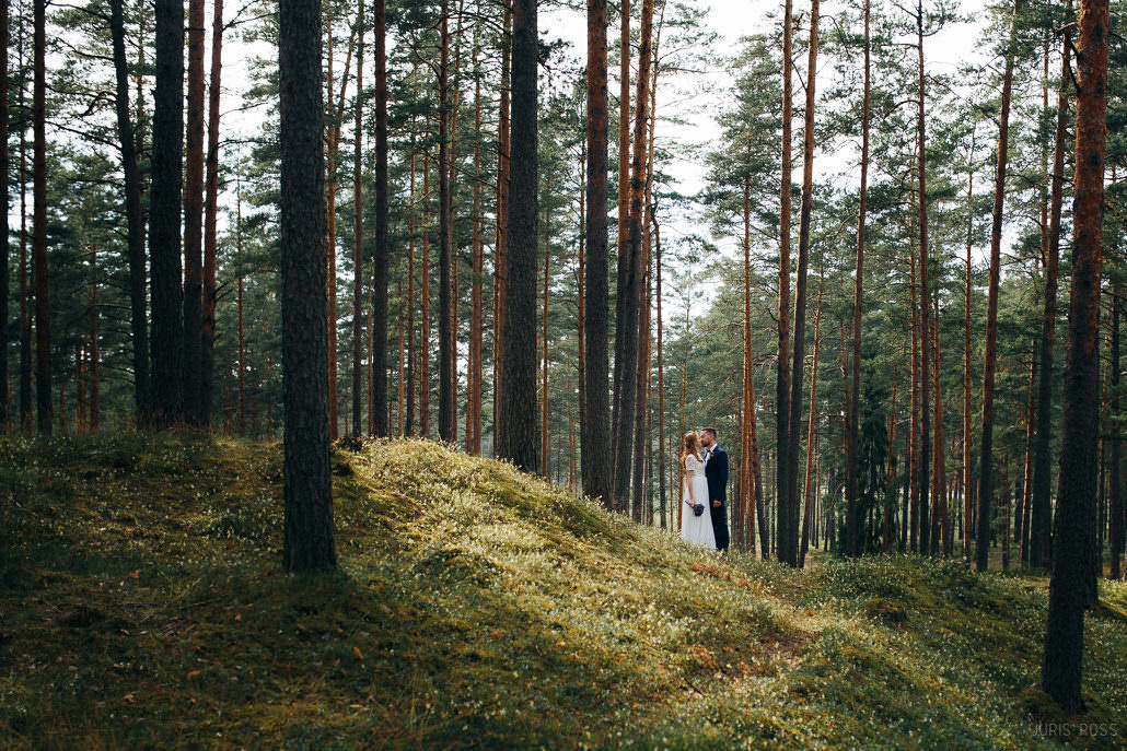 Kāzu diena ar lavandas aromātu Vidzemes lavandu audzētavā un svinības