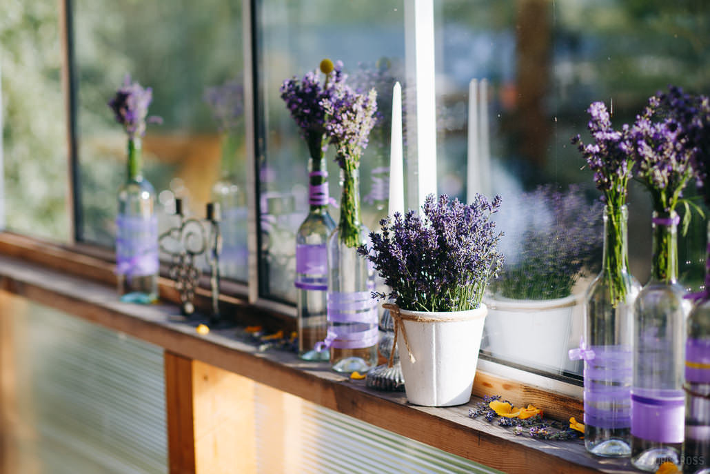 Kāzu diena ar lavandas aromātu Vidzemes lavandu audzētavā un svinības