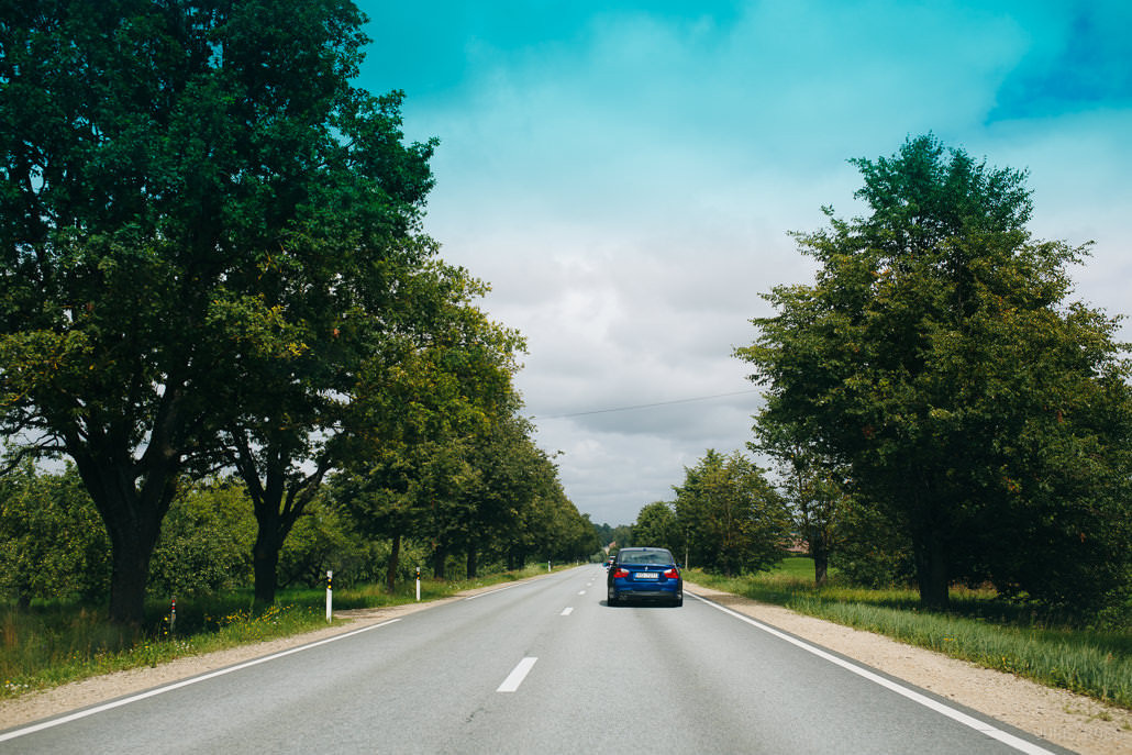 Kāzu diena ar lavandas aromātu Vidzemes lavandu audzētavā un svinības