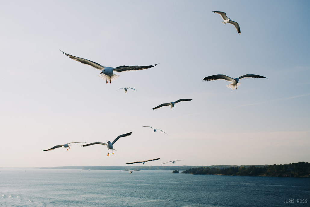 Gandrs rīkotajs velokruīzu uz Stokholmu ar Tallink Romantika kuģi