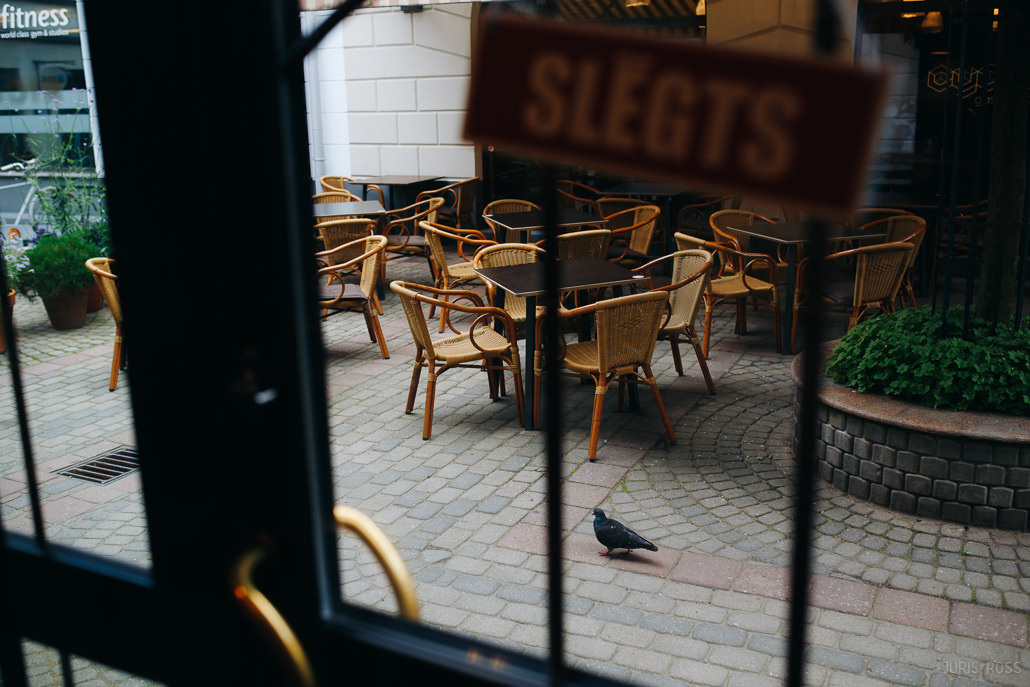 Kāzu diena ar lavandas aromātu Vidzemes lavandu audzētavā un svinības