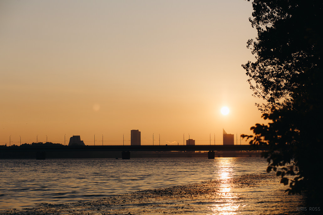Kāzu diena ar lavandas aromātu Vidzemes lavandu audzētavā un svinības