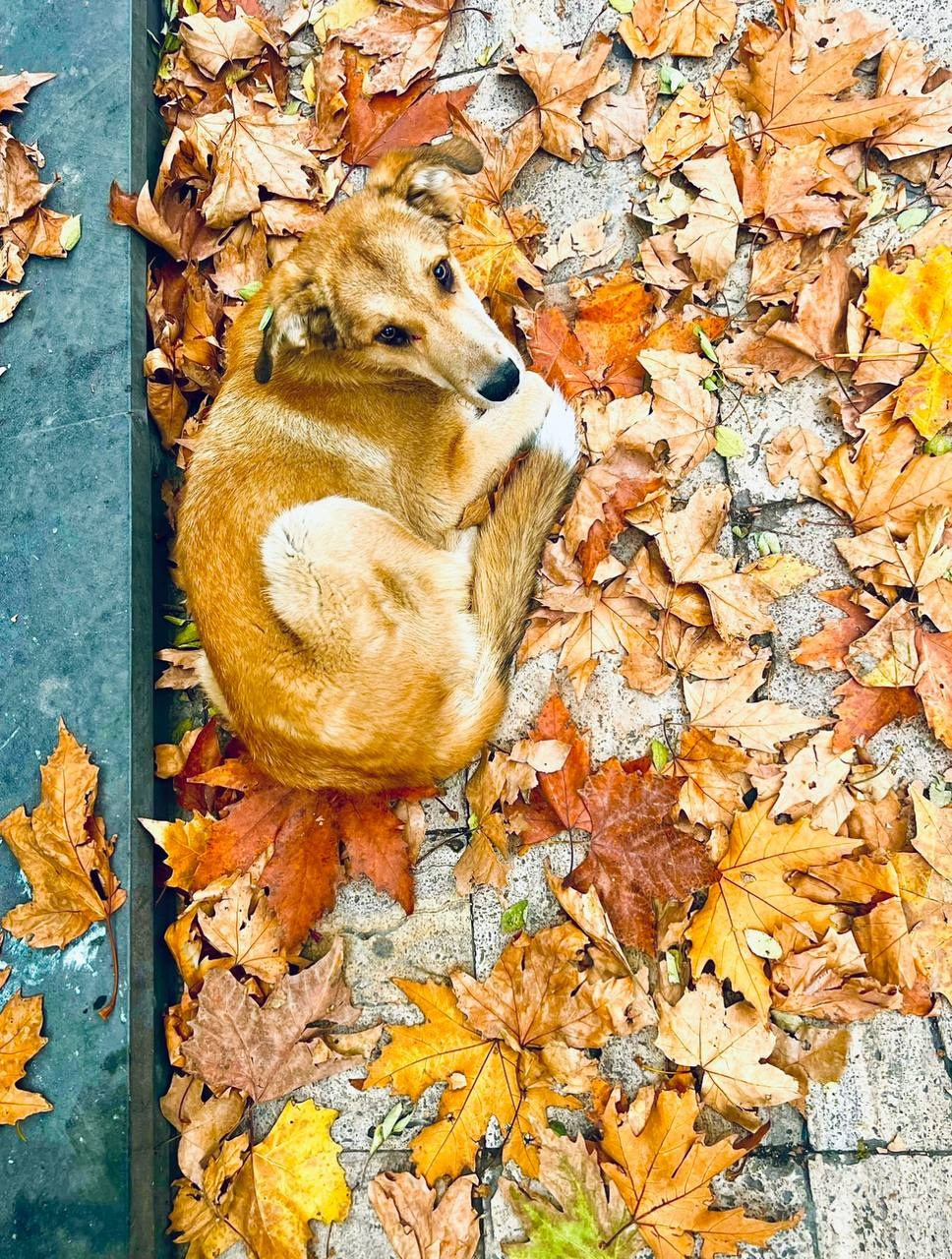 Работы учеников. Фотограф и преподаватель фотографии в Белграде
