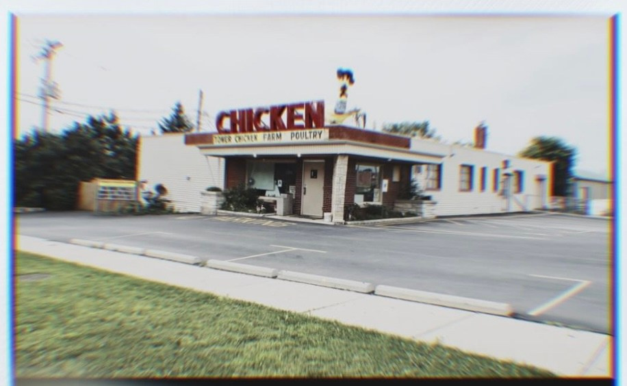 Lens Work lFrom the Field 8