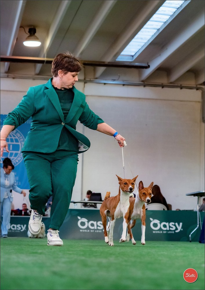 Dog Show  🇮🇹  San Marino. Photographe à Strasbourg | Portraits, Studio, Enfants, Événements