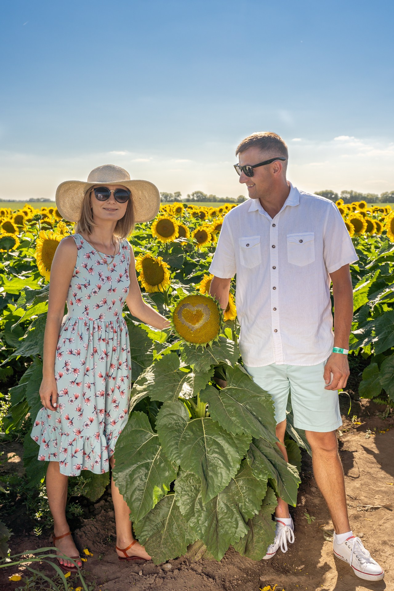 Sunflowers. ARTIGO Igor Rudyi Art Photography