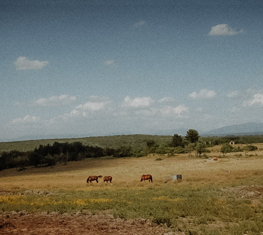Le Verdon (Quinson, Esparron). Photographe à la Seyne sur Mer, Var