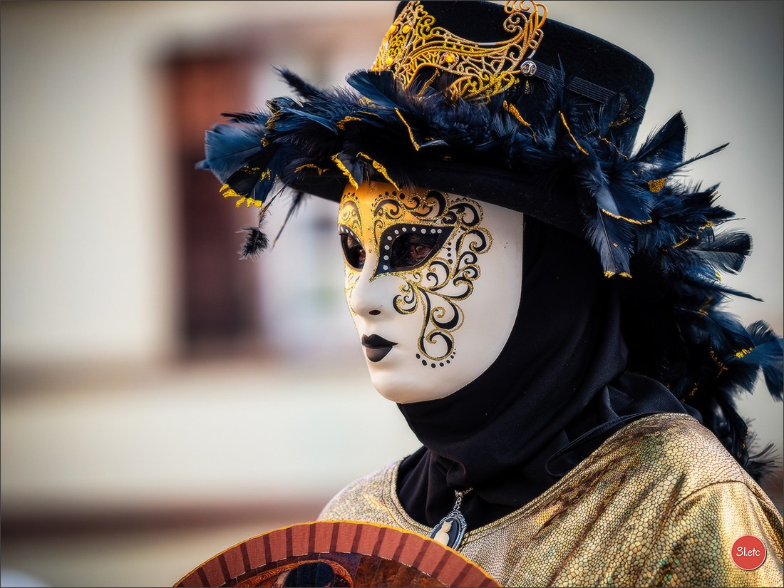 Carnaval vénitien de Rosheim 2026. Photographe à Strasbourg | Portraits, Studio, Enfants, Événements