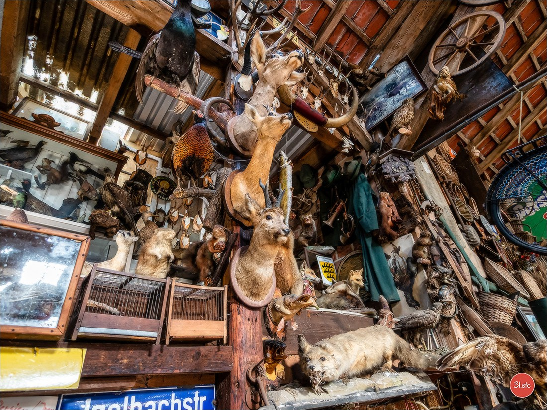 Удивительное место - частный музей старинного хлама - Fahrzeugmuseum. Photographe à Strasbourg | Portraits, Studio, Enfants, Événements