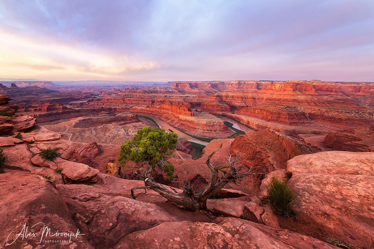 New Year In Utah. Pet, Senior, Landscape, portrait studio, photographer in Miami and Sou