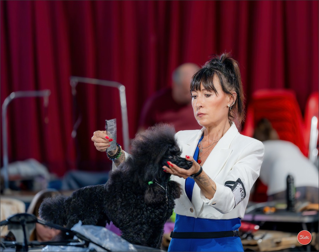 Expo canine 🇲🇨 Monaco 9-10/05/2026. Photographe à Strasbourg | Les animaux, Portraits, Studio, Événements