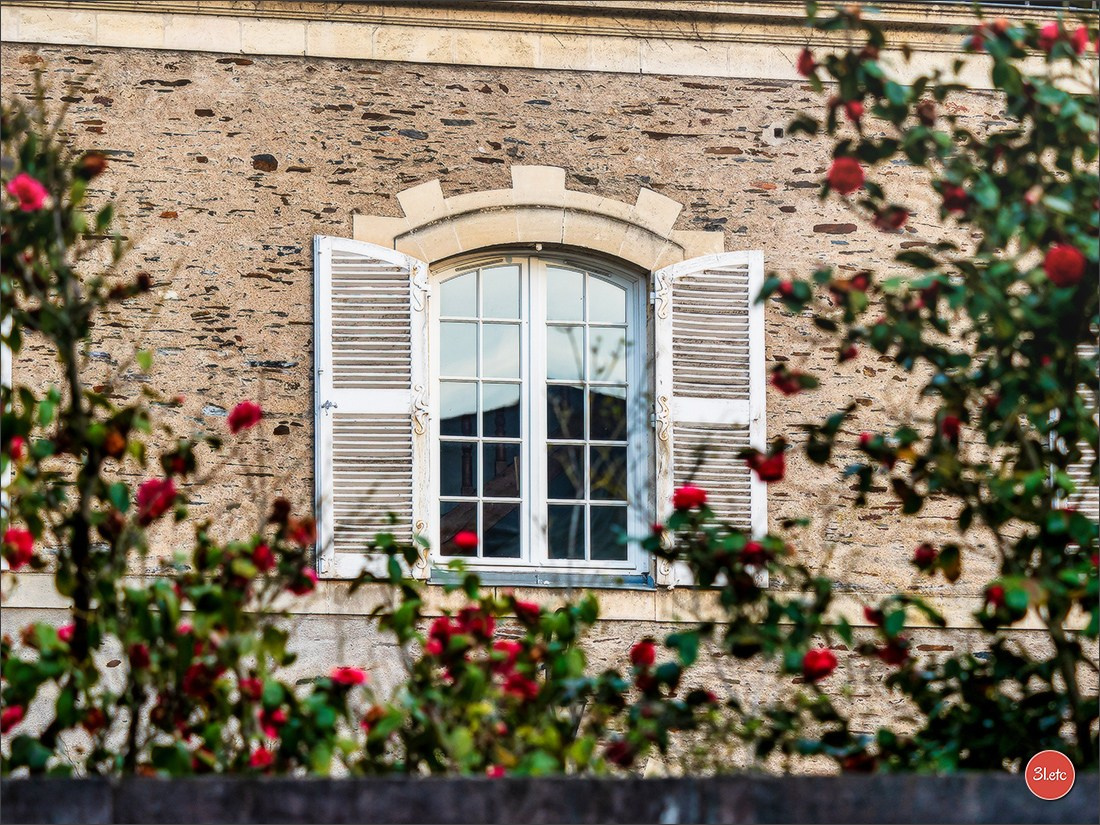 Angers  🇫🇷. Photographe à Strasbourg | Portraits, Studio, Enfants, Événements