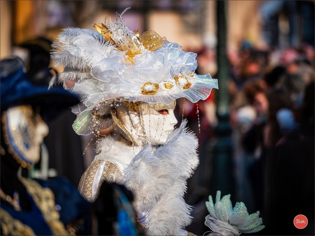 Carnaval vénitien de Rosheim 2026. Photographe à Strasbourg | Portraits, Studio, Enfants, Événements