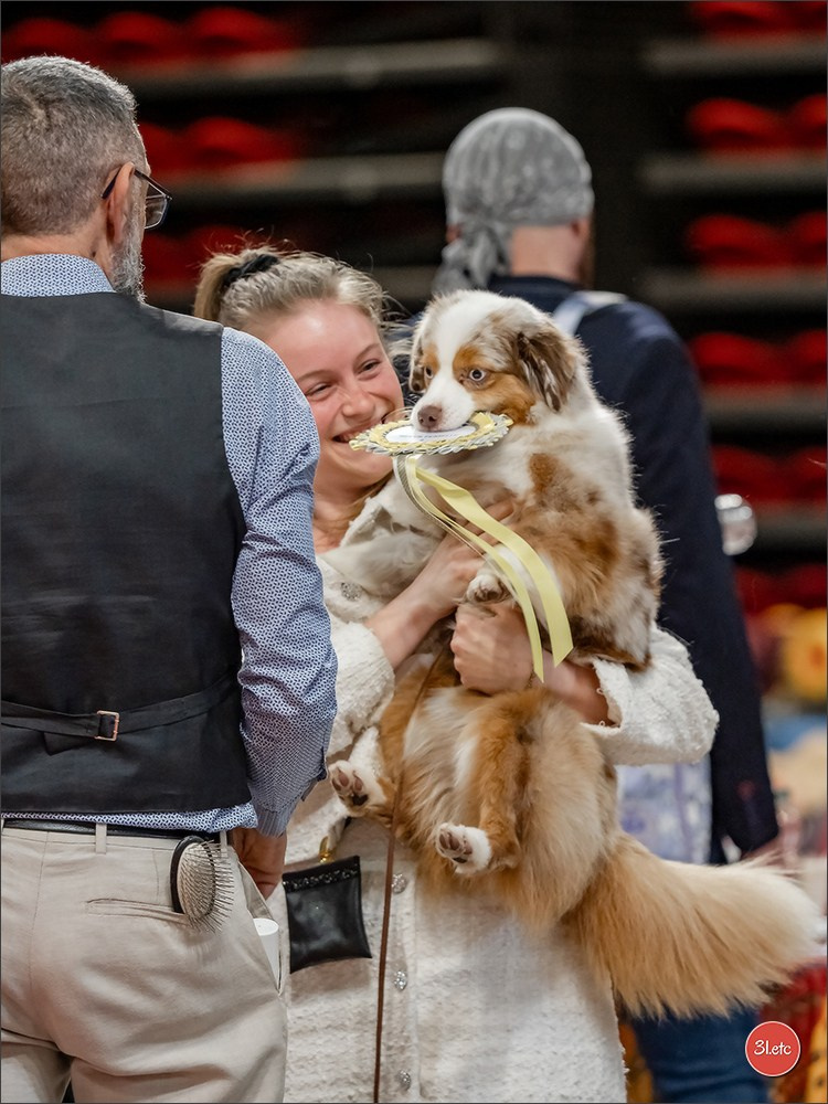 Expo canine 🇫🇷 Martigues  19-20/04/2025. Photographe à Strasbourg | Portraits, Studio, Enfants, Événements