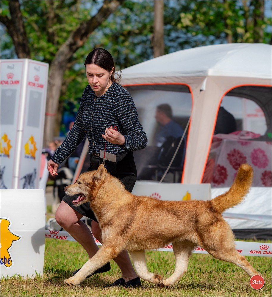 Expo canine 🇫🇷 Valence 03-04/05/2025. Photographe à Strasbourg | Portraits, Studio, Enfants, Événements