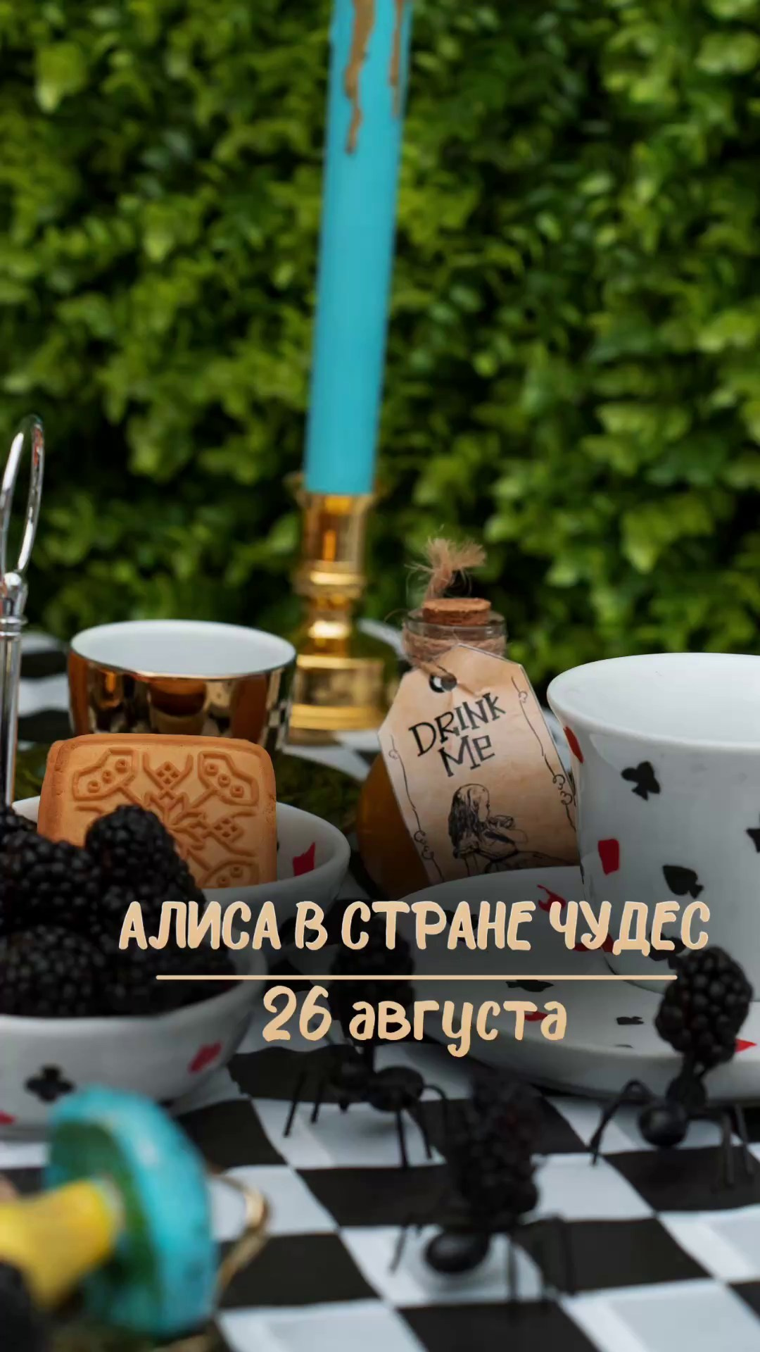 Алиса в стране чудес. Детский и семейный фотограф в г. Бельцы