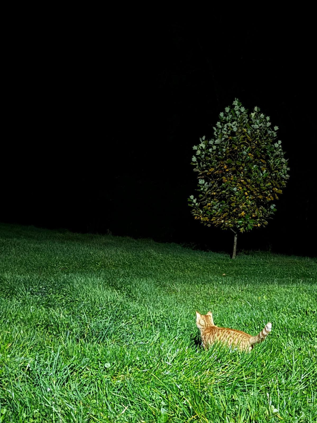 Autre. Alain Abellard - Photographe