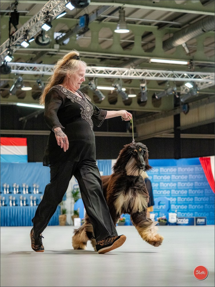 🇱🇺 LUXEMBOURG 🇱🇺 International Dog Show 🇱🇺 30/08 - 31/08/2025. Photographe à Strasbourg | Portraits, Studio, Enfants, Événements