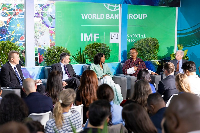 COP29. Ulvidasdamir.com