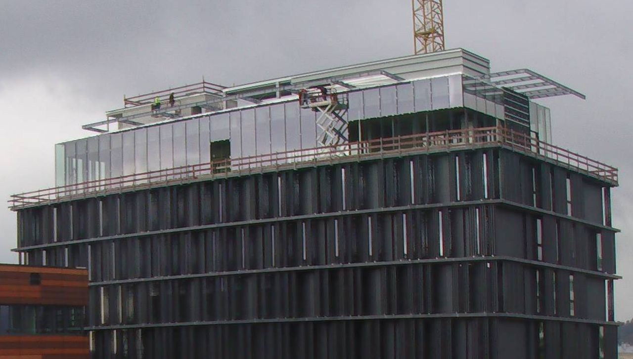 Projekty. Vector design studio Czesław Zubelewicz