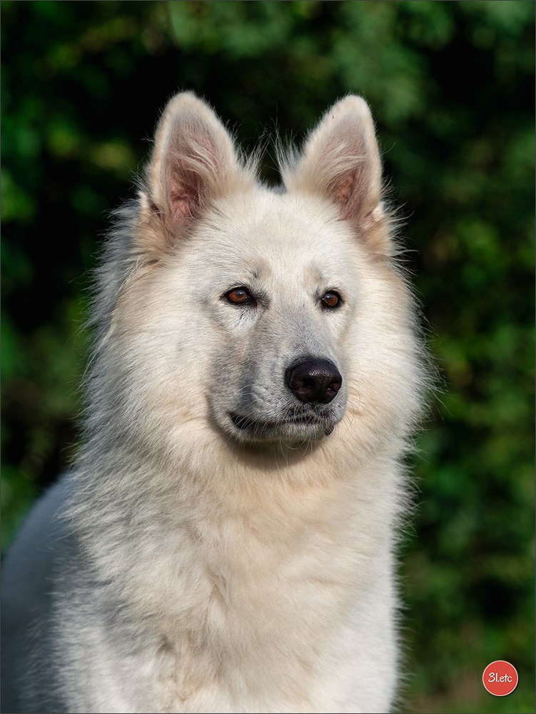 Domaine de la patte blanche. Photographe à Strasbourg | Portraits, Studio, Enfants, Événements