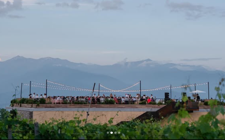 Tsinandali Estate. Главная