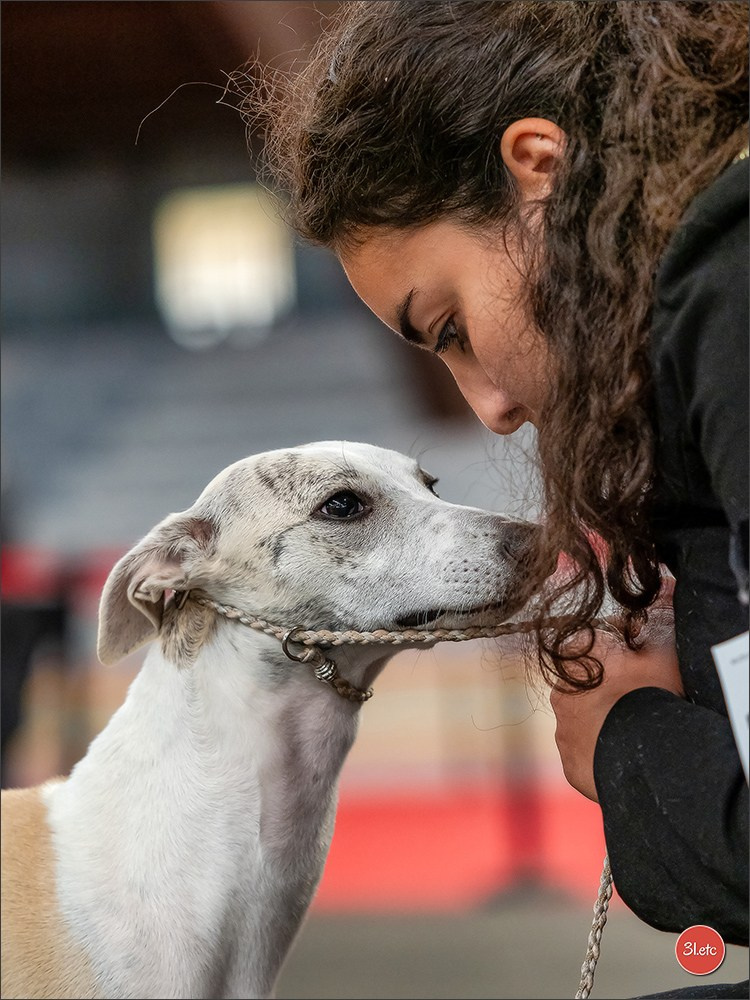 Expo canine 🇫🇷 Poitiers 18-19/10/2025. Photographe à Strasbourg | Portraits, Studio, Enfants, Événements