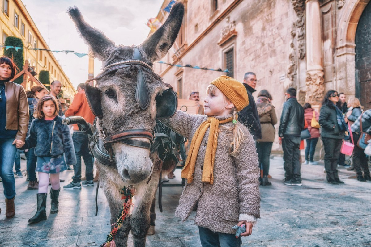 Mercado Medieval, Orihuela 2020. Alba del Norte Studio