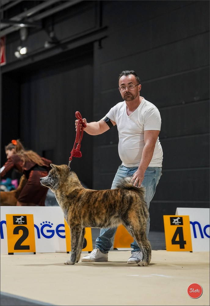 🇱🇺 LUXEMBOURG 🇱🇺 International Dog Show 4-5/04/2026. Photographe à Strasbourg | Portraits, Studio, Enfants, Événements