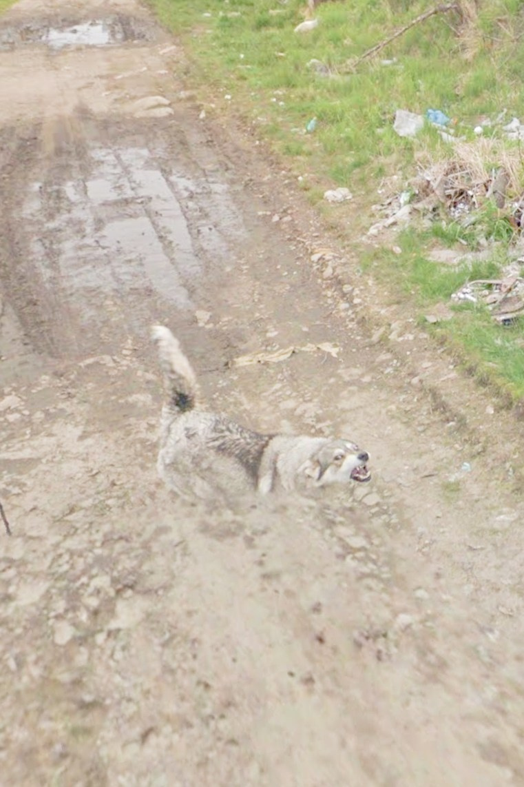 Magadan (ongoing). Anna Guseva | Visual artist