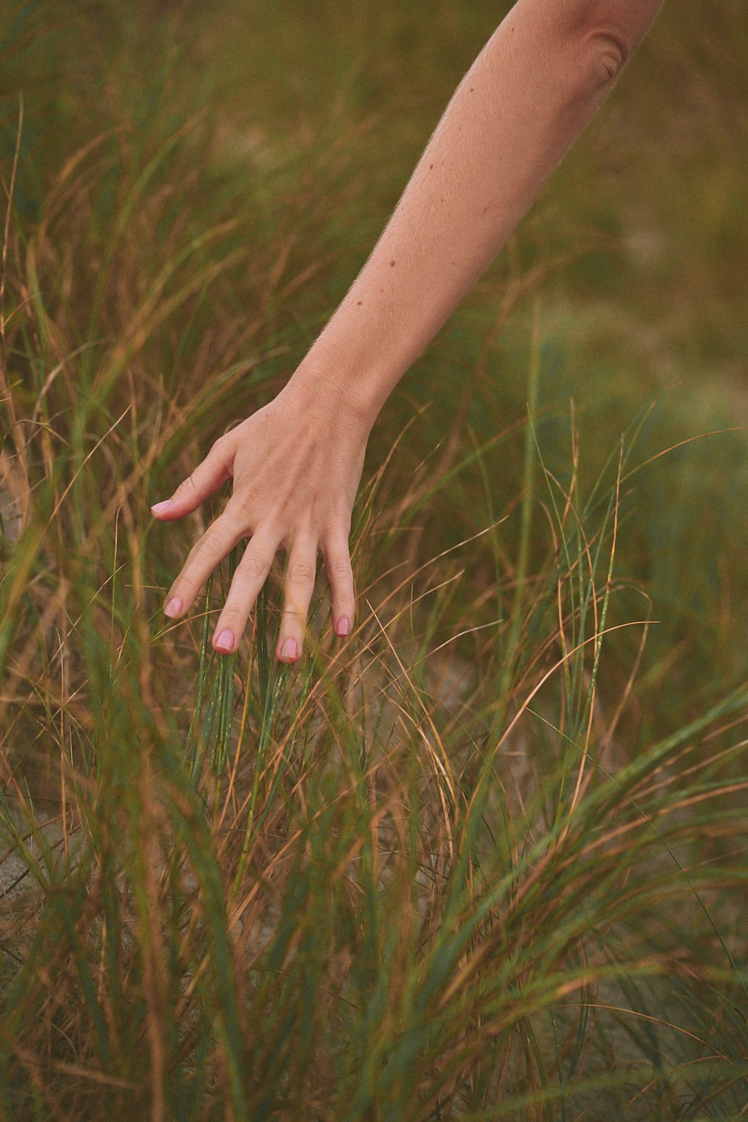 Wuthering Heights. Photographer Cape Town | фотограф Кейптаун
