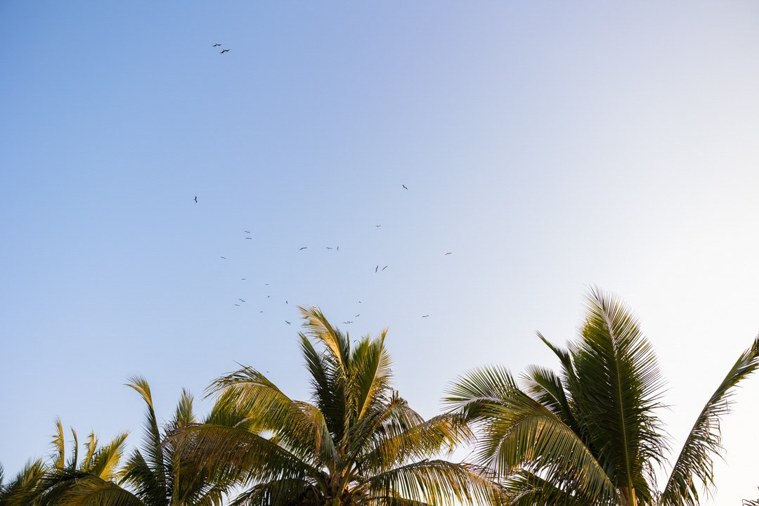 L + A. Luis Astorga - Fotografo de Bodas