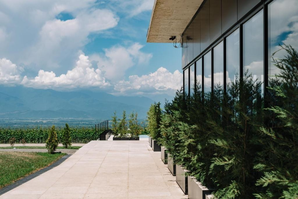 Vazisubani Estate. Главная