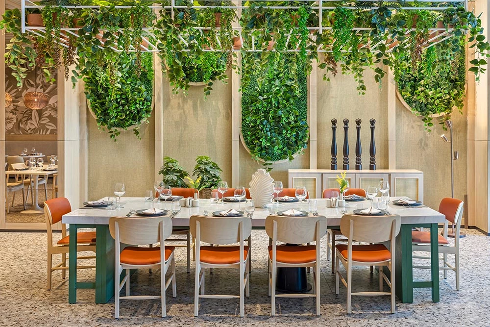 NG PHASELIS BAY. Lero Photographer and a set designer|individual custom portrait and advertising photography in Zutphen