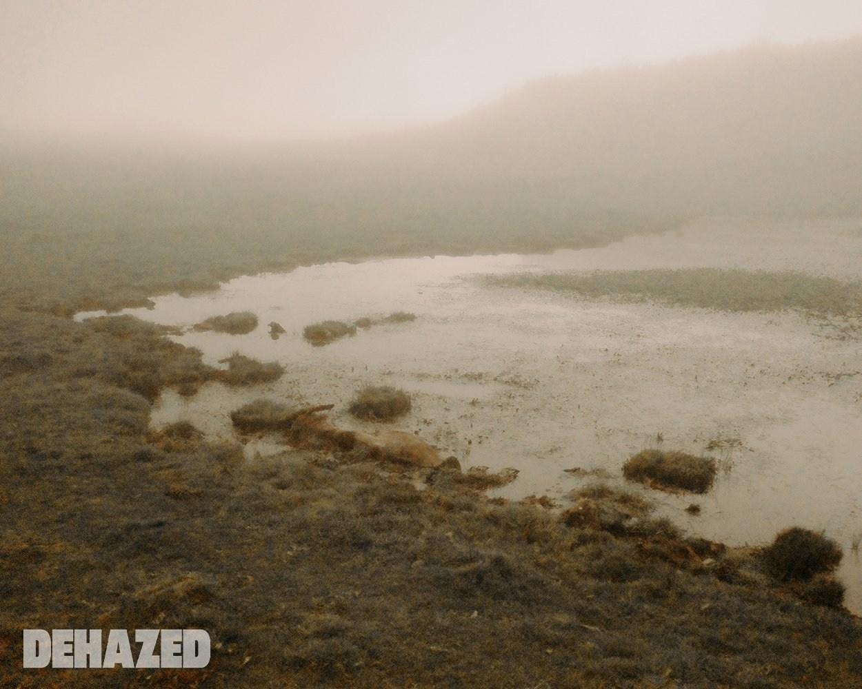 AWARDS. Yana Bobrova | Artistic Photography