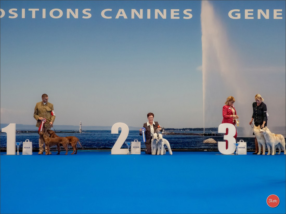 Photographie animalière. Photographe à Strasbourg | Portraits, Studio, Enfants, Événements