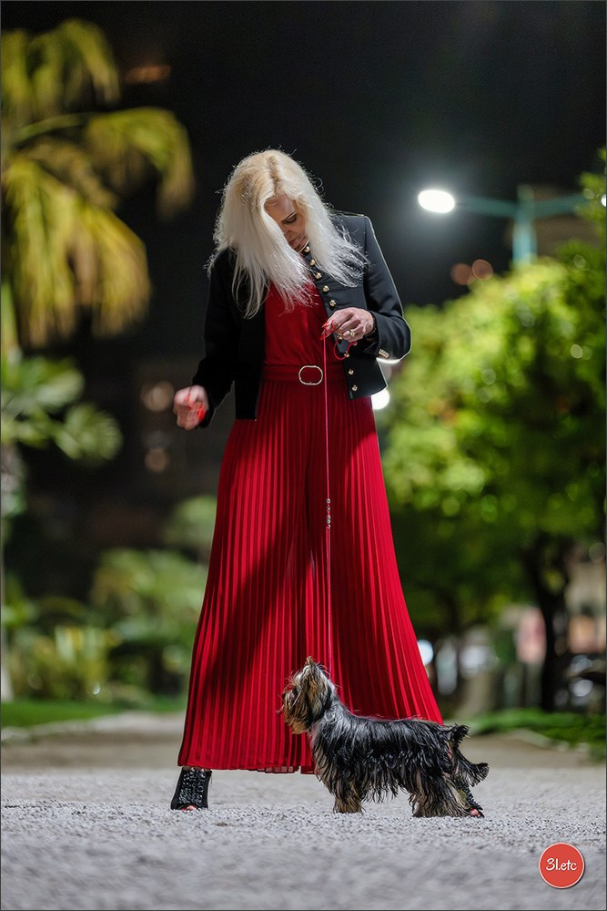 Expo canine 🇲🇨 Monaco 9-10/05/2026. Photographe à Strasbourg | Les animaux, Portraits, Studio, Événements