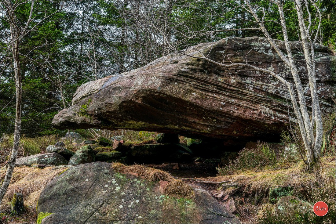 Randonnée en Forêt-Noire. Photographe à Strasbourg | Portraits, Studio, Enfants, Événements