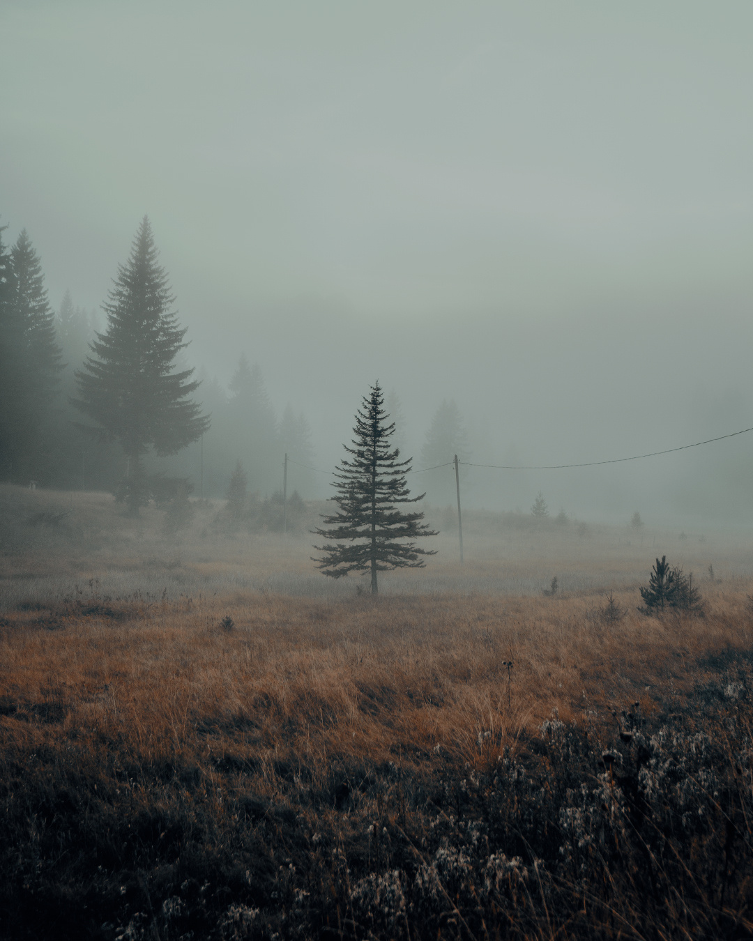 Žabljak — Montenegro. Mark Smilyanic | Portrait and Adventure Photographer from Belgrade