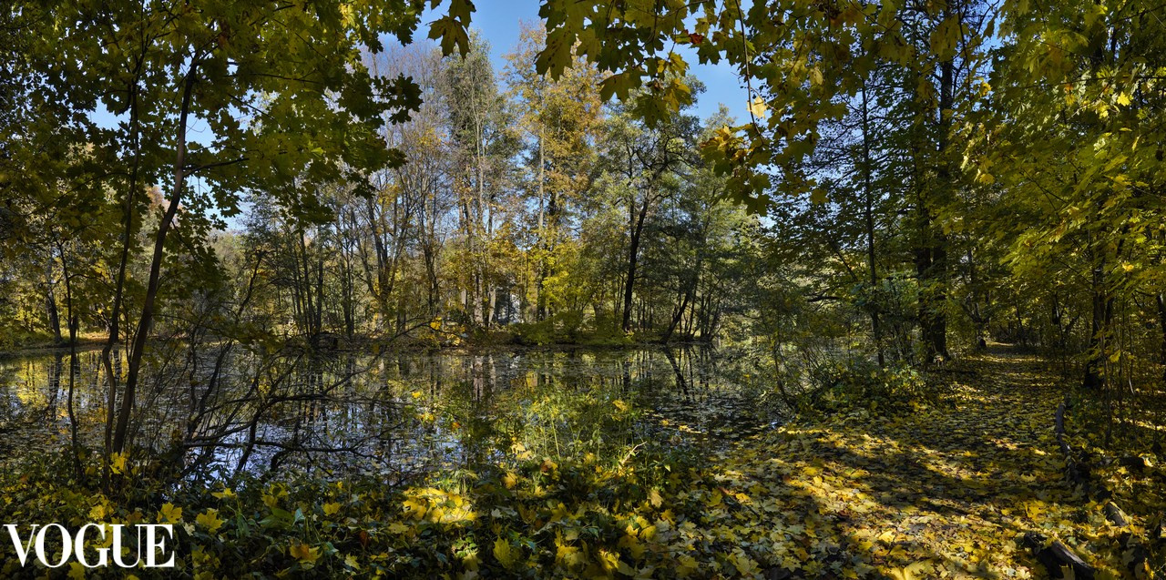 Красота садов и парков. Суть фотографии в стиле изобразительного искусства