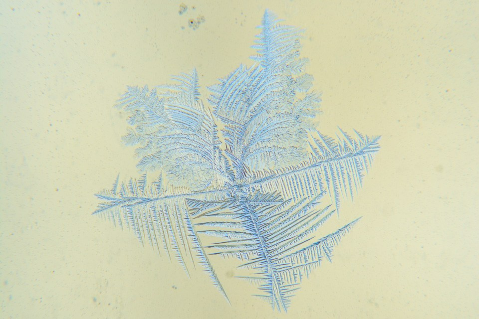 Fotografie Macro~ Close up. Andreea Ivan art-Fotograf Constanta, Fotograf profesionist Constanta, Fotograf de nunta Constanta, botez, sedinte foto cu tematica, portret