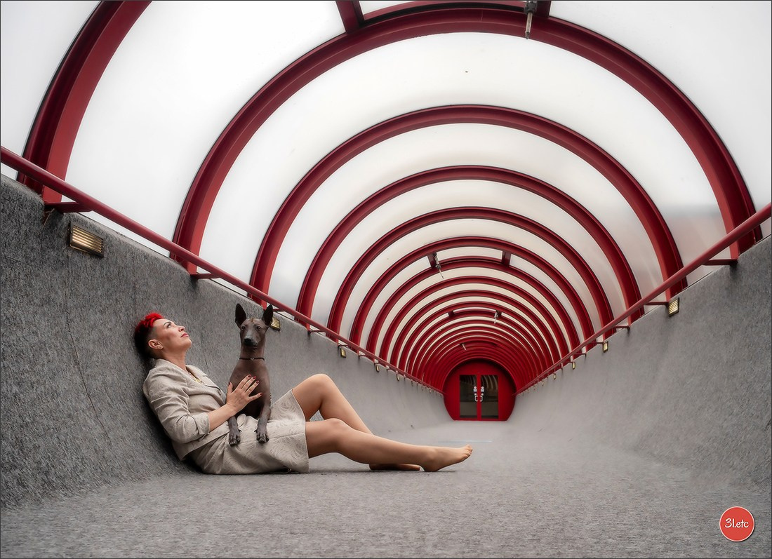 13-14.12.2025   🇧🇪   Brussels Dog Show. Photographe à Strasbourg | Portraits, Studio, Enfants, Événements