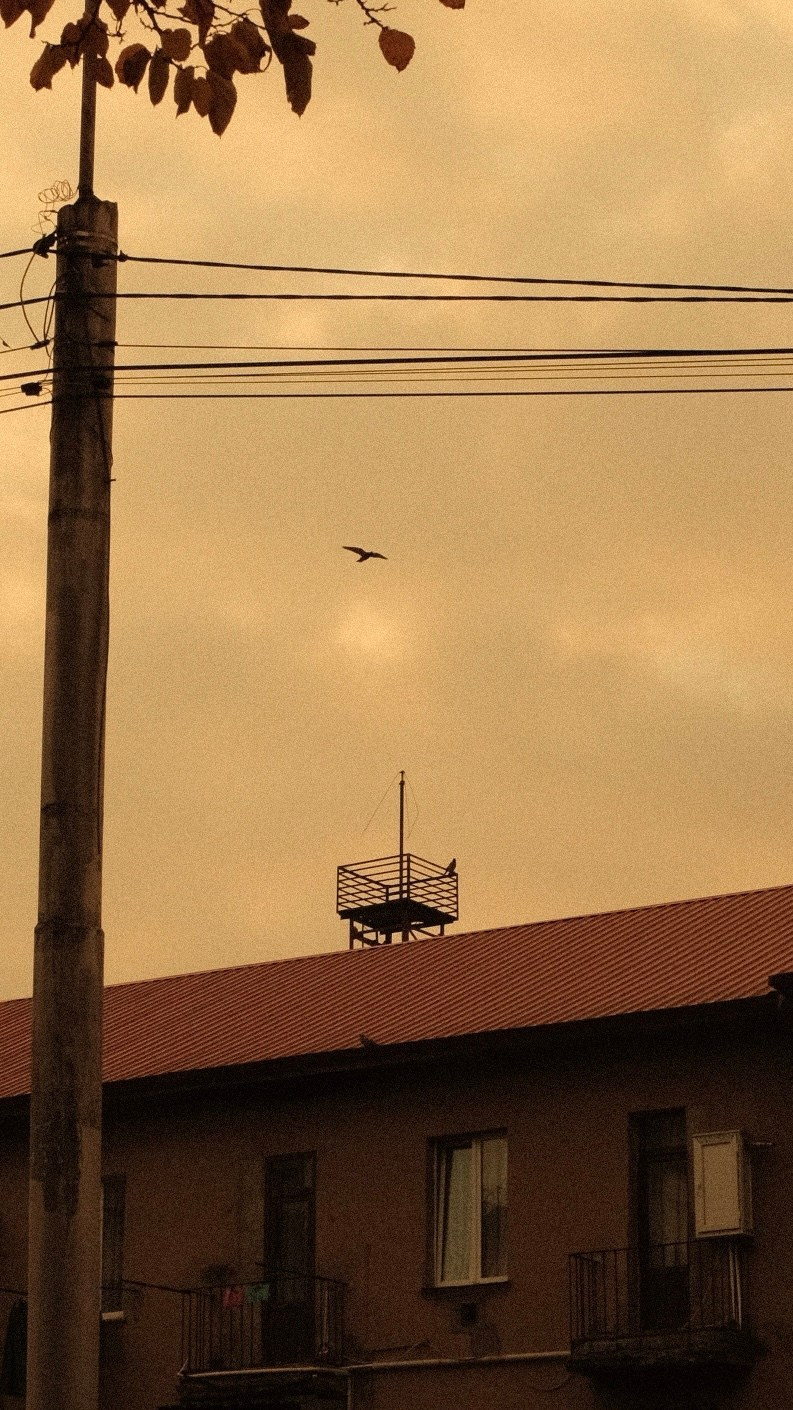 OLD & WARM. @Gio.Fujifilm official Fujifilm Ambassador & X-Photographer in Georgia