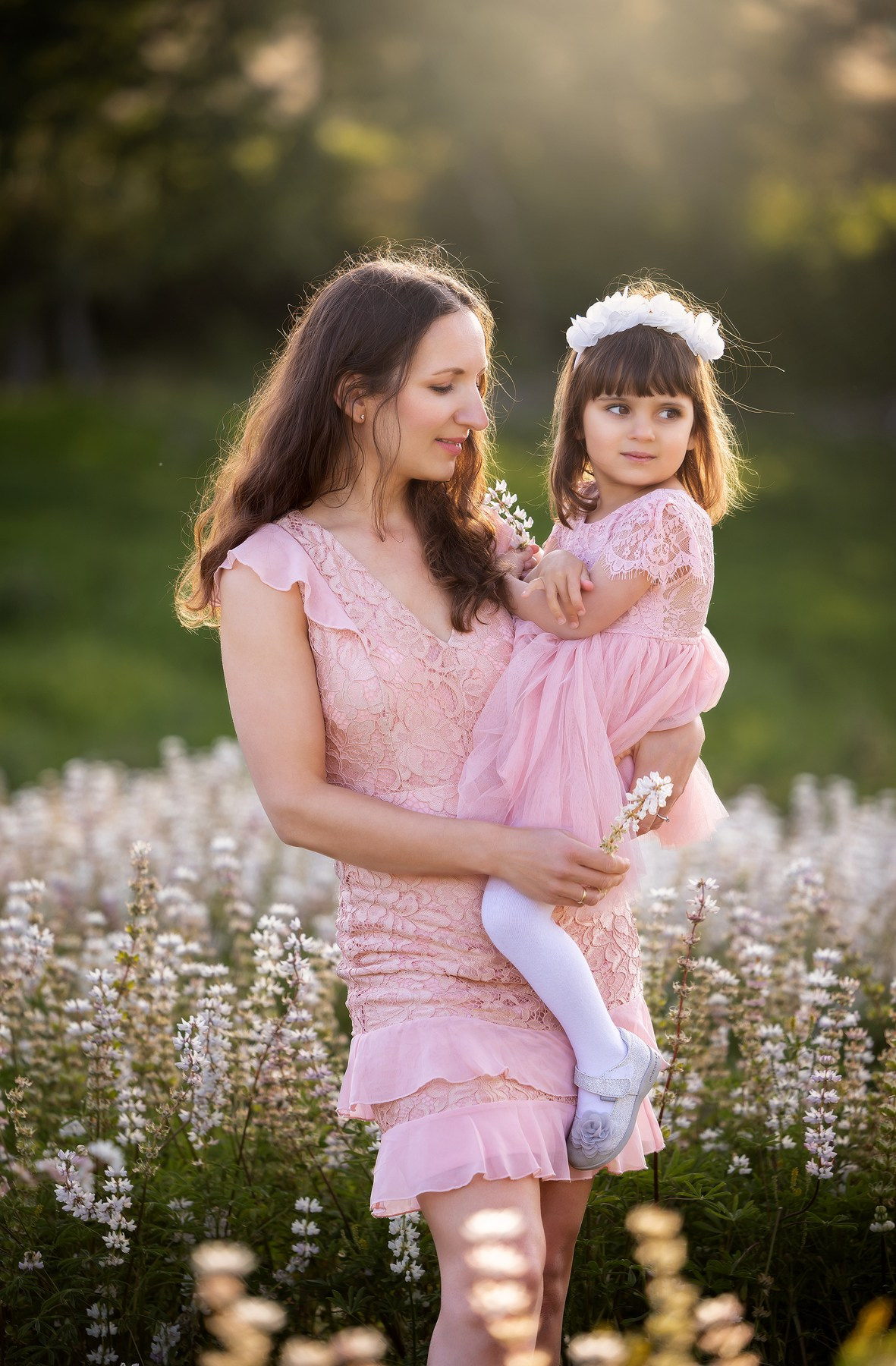 Lupines Story. Photographer is San Jose, Iryna Novosyolova