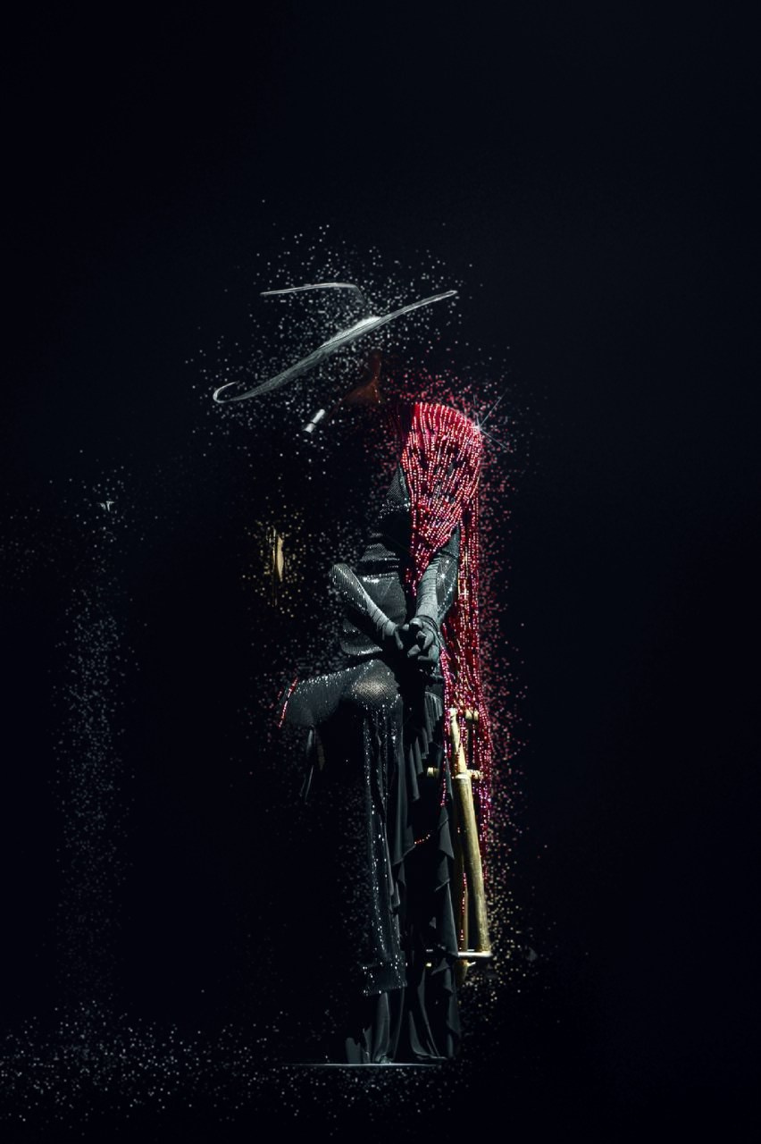 Klavdia Petrivna. Репортажний фотограф/анімаліст КИЇВ